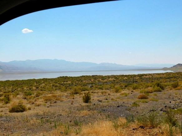 999A653359A77A18242A1A