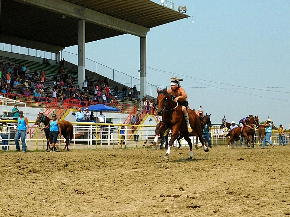 999F8D385B7D9570070A6A