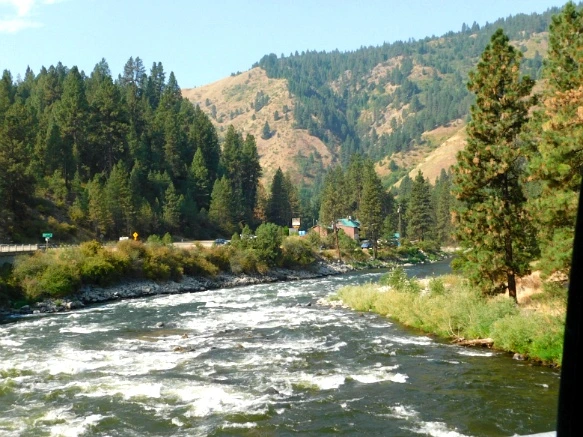 99A8873359A9EBB819378F