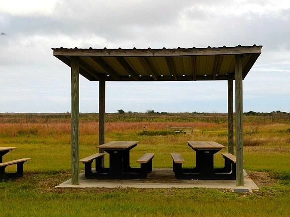 99CFC8375BF9F8D5062D3A