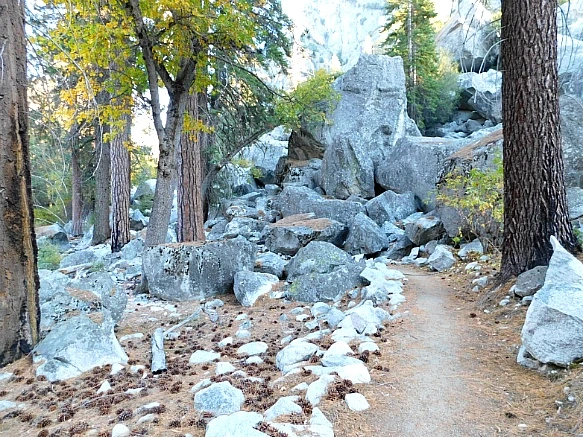 9925AE4A5BDBD99E18E5E8