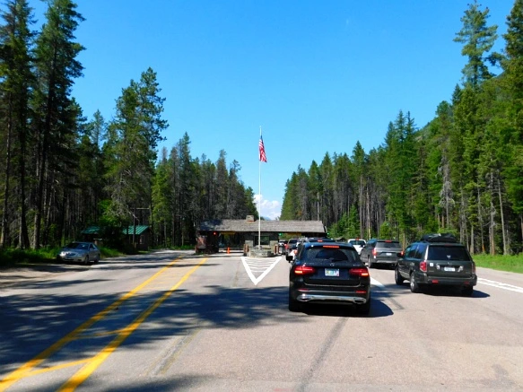 996D9C425B3455CC1C6478