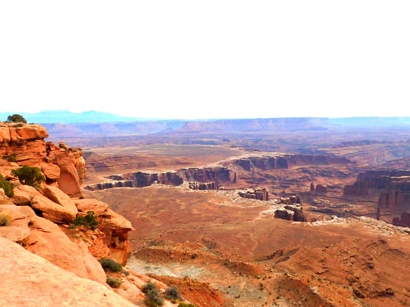 99A00B335A0E55EB0E1467