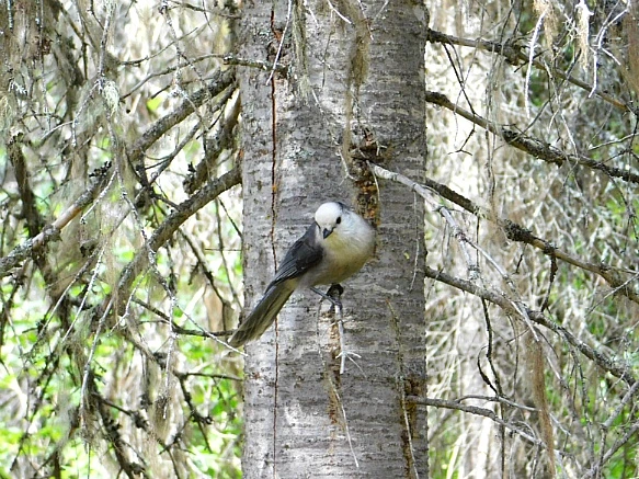 9912ED505BAB057F0DC250