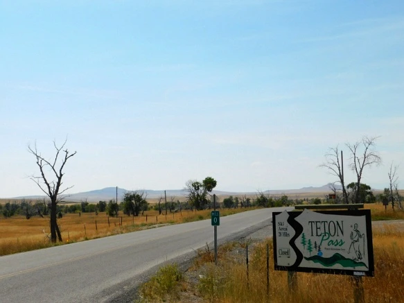 99E66D33599F9D781E099A