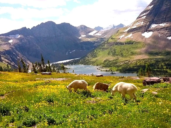 275BB13753F29A882D3C9D