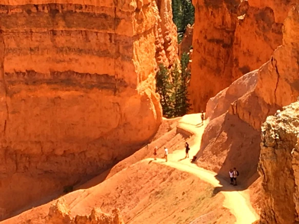 99EBD13359B875EA06F3FC