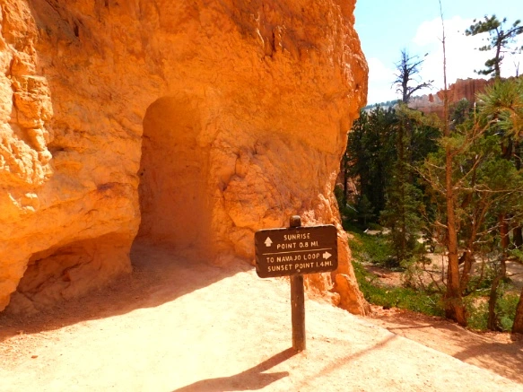 9939F53359B878DF178653