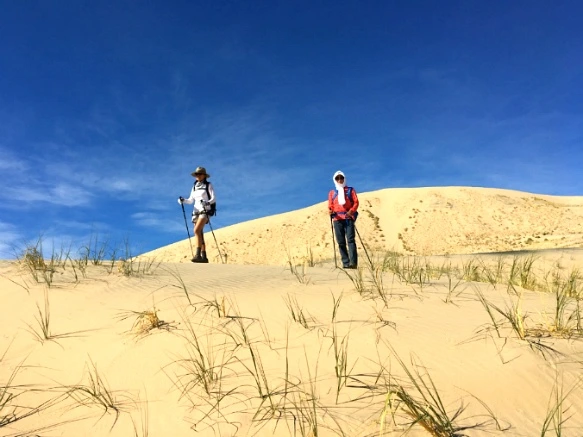 99BD37335A20BF4F2CFE89