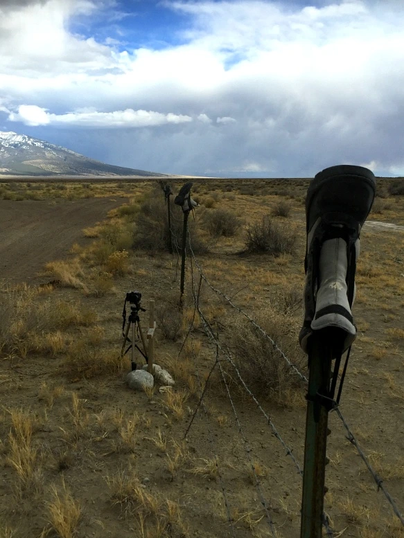 2769064E5700331427C161