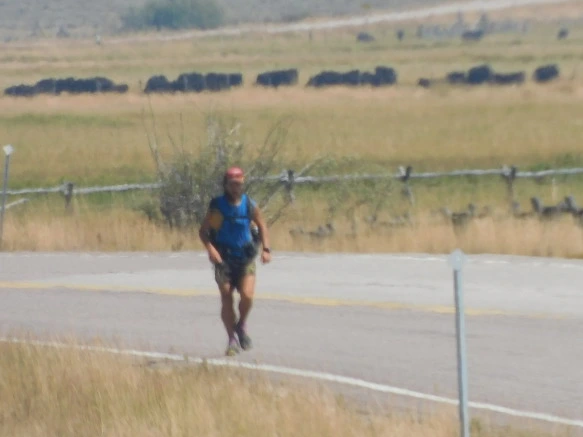 9926EE3359AB55C207999D