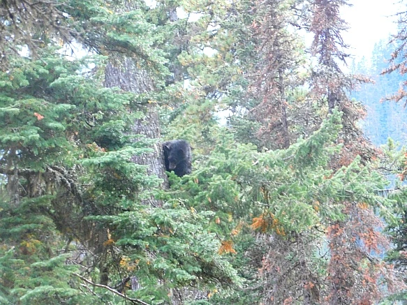 99E830475BAB0A590B34EC