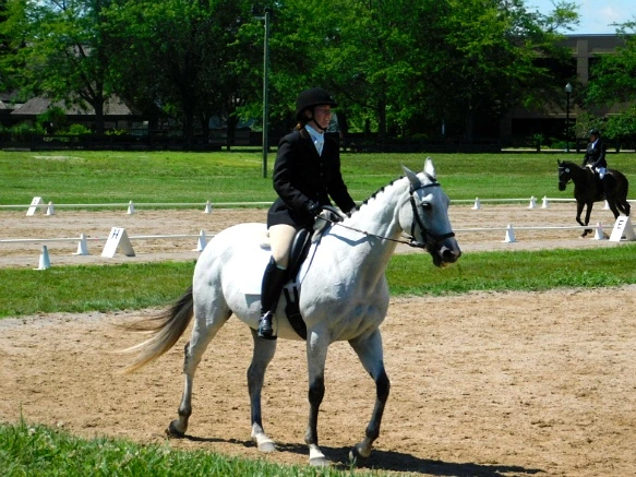 2186F033597D16F02E12D8