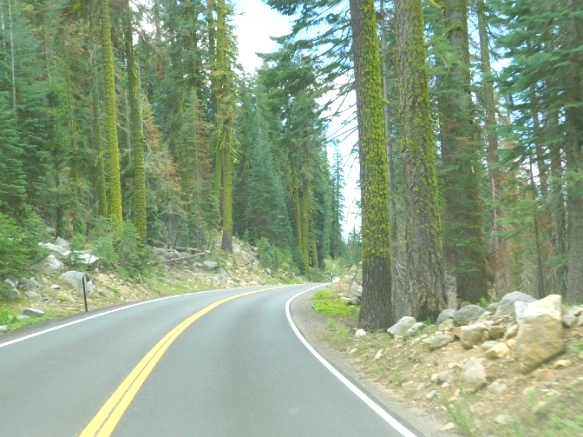 2424D53D577219242AD4B5