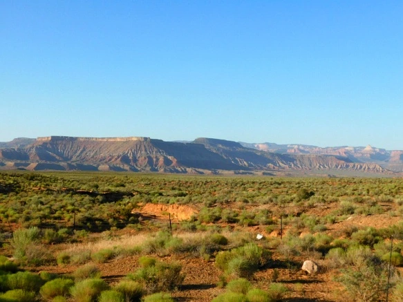 2224DF42576CC65D365104