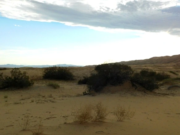 24725134577B02A803048B