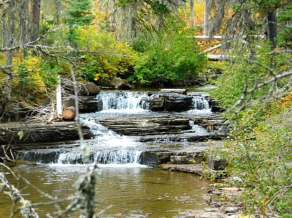 99C8164A5BAAF9BB0BD968