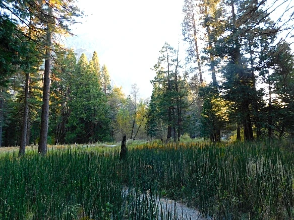 9992FF505BDBDA7D1AF122