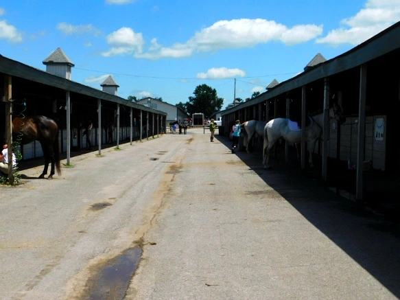 21CA8E33597D17131ACFA5