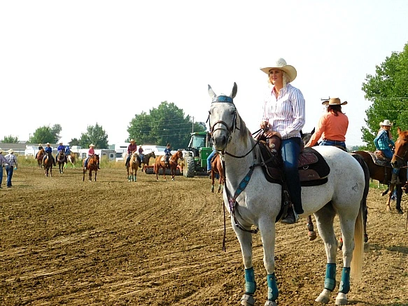 991493365B7A33D237004B