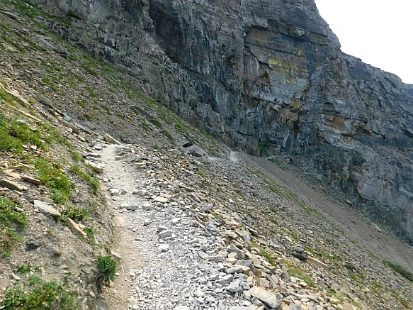 99422F445B88AD020B4BA9