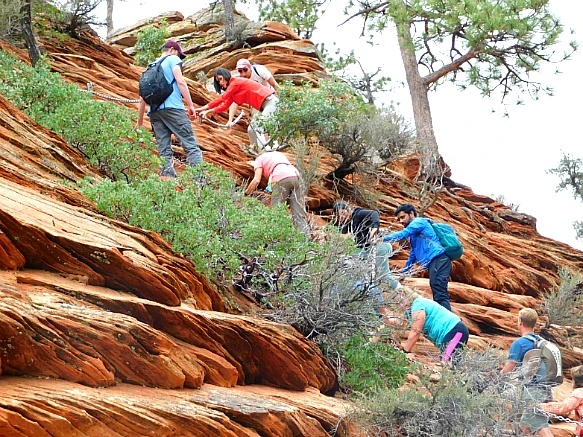 99DF31495BC69770102E5A