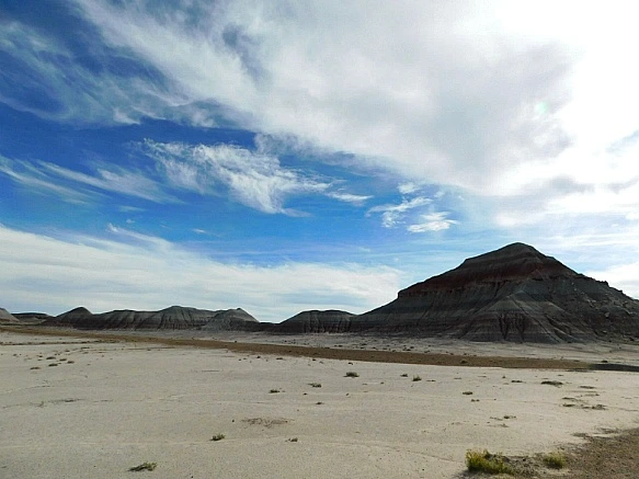 9972F1405BE6788C342966