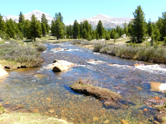 26023342577218EA18D77A