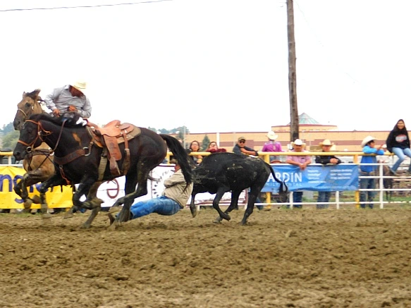 99EBE6395B7F7DBA1387C9