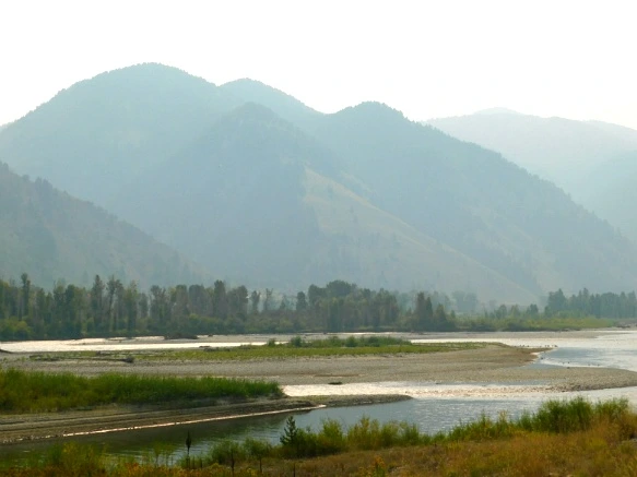 99D0D63359B1EA9222CDE8