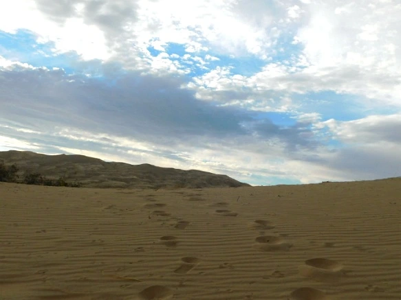 234F244A57782A98343598