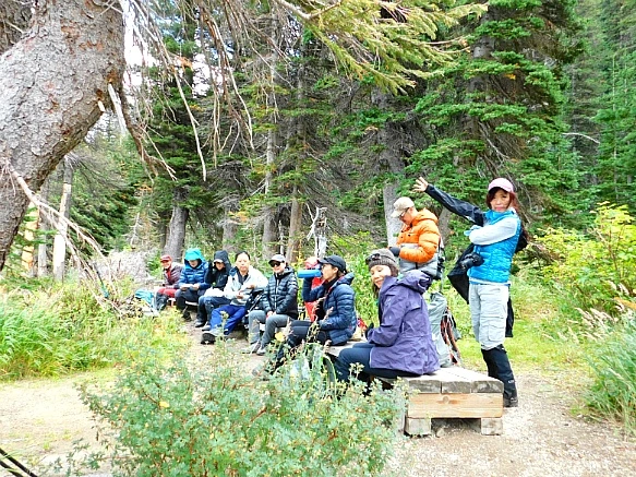 9926C8445BA1B29235AE17