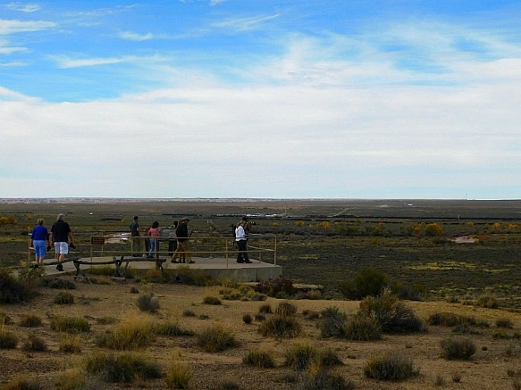 990397405BE6788802228C