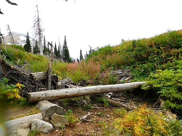 99EB754D5BAAFBDD1F6BE2