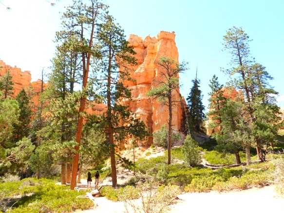 99D11B3359B878C7404DF5