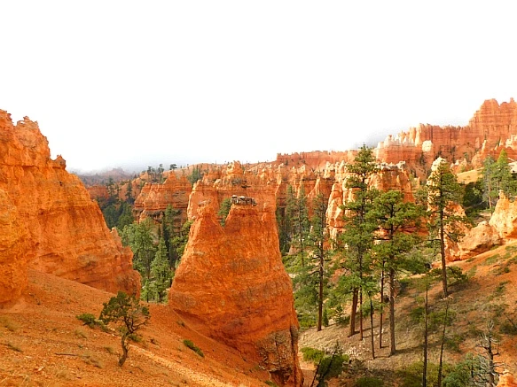 99E9074E5BC567EA0809A7