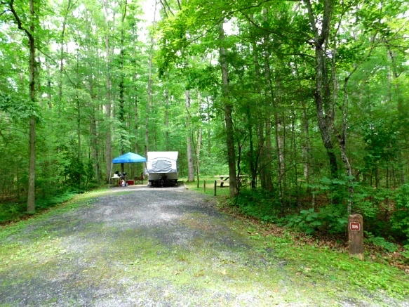 2559A04D5950201A28F7D1