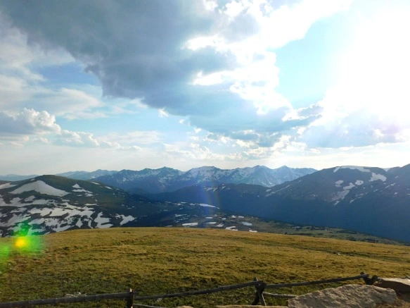 99C226455B29EC8A21729E