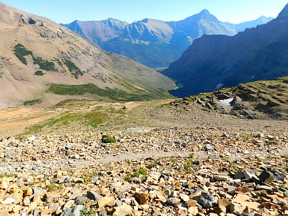 99E8CA505B95AF871D1E36