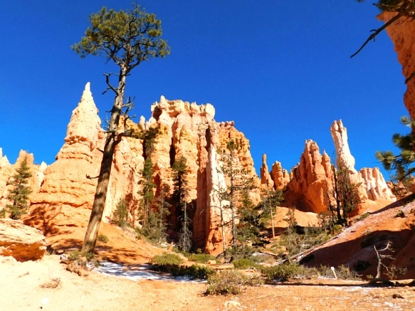 992C24335A1A39DC3252B9