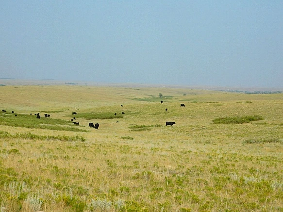 99C3A14E5B765445216DF8