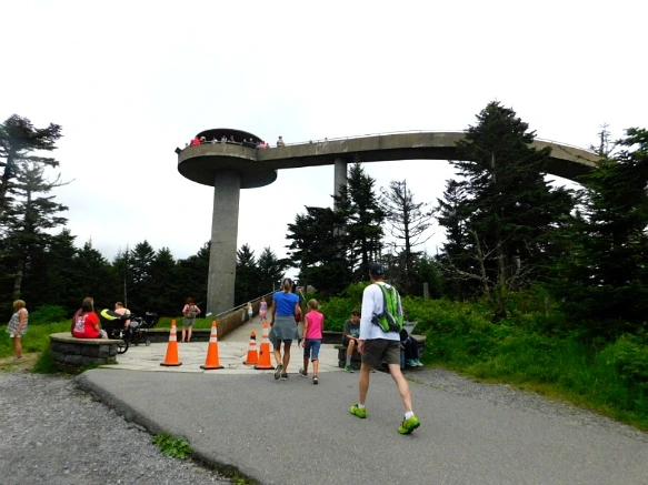 254D8F4F595098030679A9