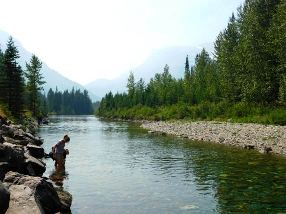 9988FF3359A2484A2F2C36