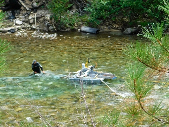 991BC73359A9EBD023D51D