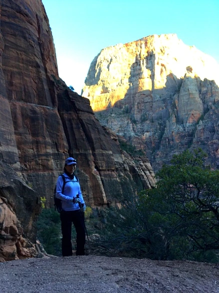 995F1A335A1CBE2E11D948