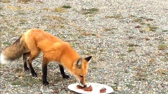 994227445B95EEE31C05F2