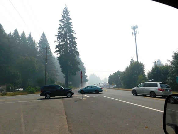 99E8863359A62C82010C8D