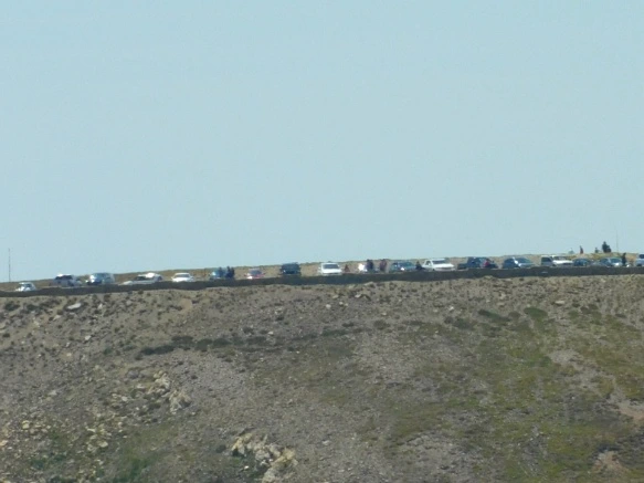 997E6A445B74D06529CF5D