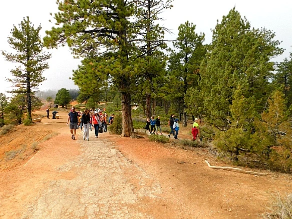 99B06F4A5BC56CDD0D79F7