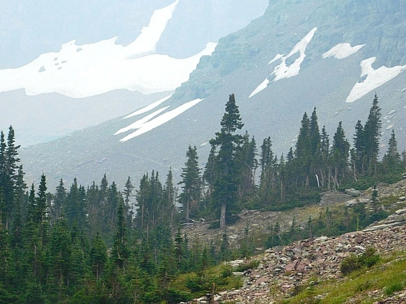 99AB783D5B8A01F122FEE5